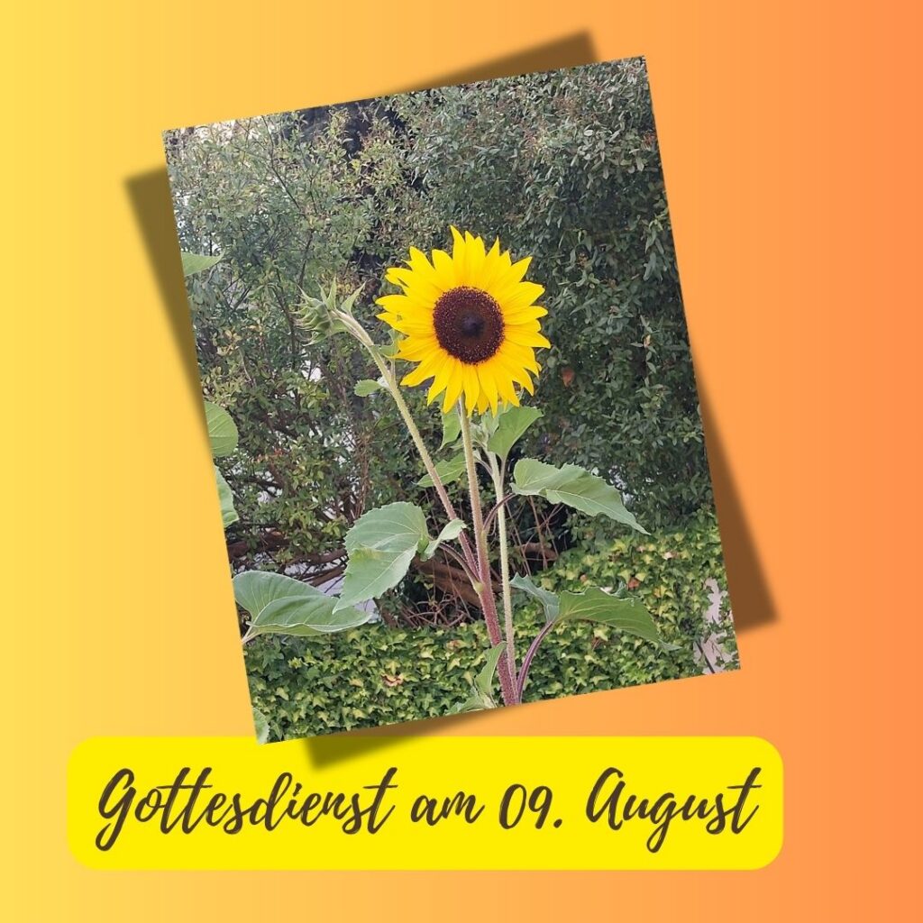Wir laden herzlich ein zum Gottesdienst am 09. August um 10 Uhr in der Alten Kirch mit Pfarrerin Birgit Tepe