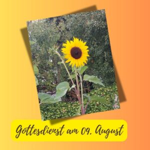 Wir laden herzlich ein zum Gottesdienst am 09. August um 10 Uhr in der Alten Kirch mit Pfarrerin Birgit Tepe